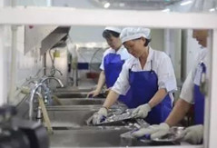 食堂洗碗機