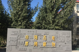 河北省新樂市中山中學